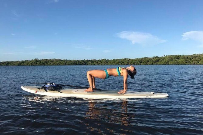 Paddle Boarding Rentals - Final Thoughts: Why You Should Consider This Experience