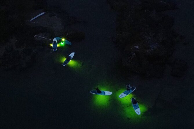 Paddle Out at Dusk for Glow Night Cruise in Gordon Bay - Key Points