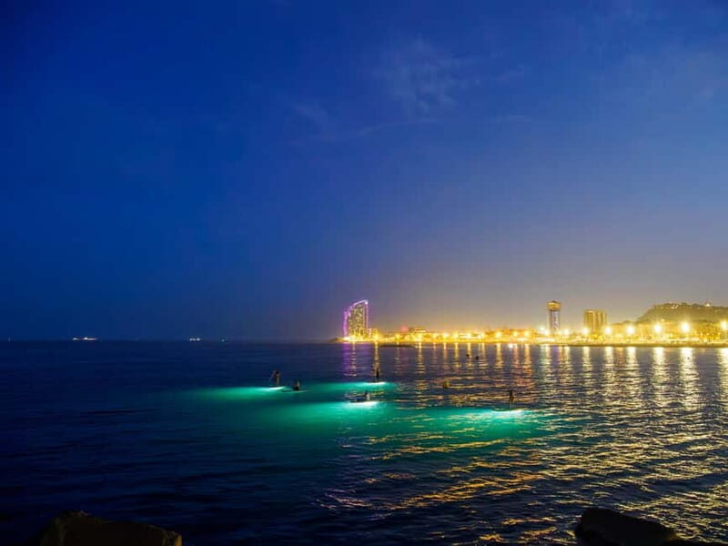 Paddle surf at night with light & drink -photos &videos - Authentic Reviews Snapshot