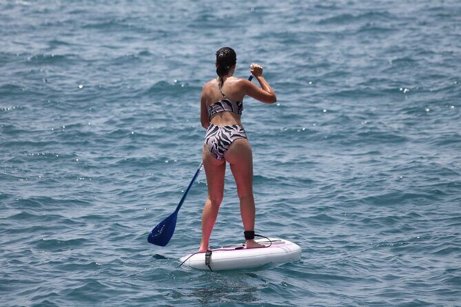 Paddle Surf - Summing Up: Is It Worth It?