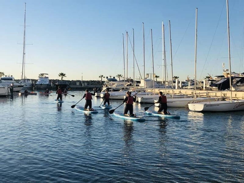 Paddle surf excursion - Why This Tour Offers Good Value