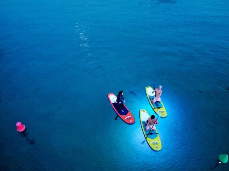 Paddle Surf with Led lights at sunset in Menorca - The Sum Up: Who Should Consider This Tour?