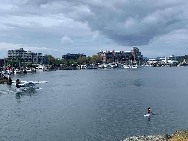 Paddle the heart of downtown Victoria - Why You’ll Love This Experience