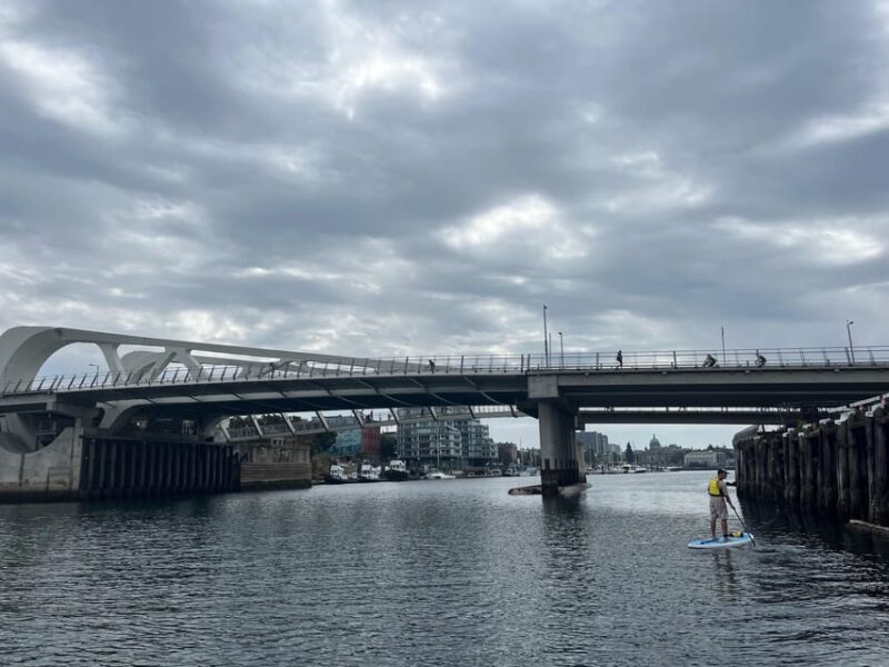 Paddle the heart of downtown Victoria - Who Should Consider This Tour?