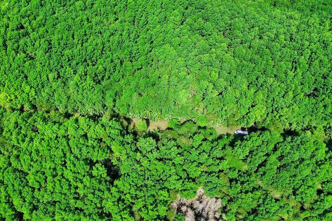 Paddle Through Paradise: Mangrove Kayak Adventure - Key Points