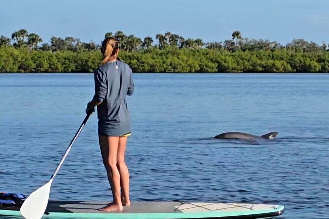 Paddle With Native Wildlife - Key Points