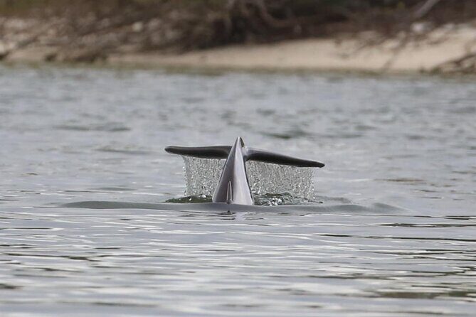 Paddle With Native Wildlife - Final Thoughts