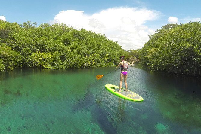 Paddleboard Cenote Tour - Final Thoughts: Is This Tour Right for You?