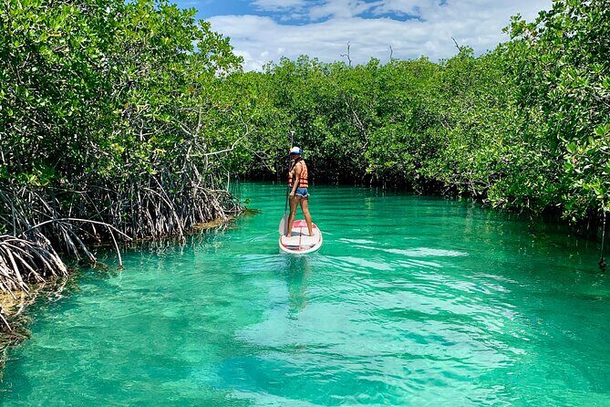 Paddleboard Kayak Tour in Cancun - Practical Details and Considerations