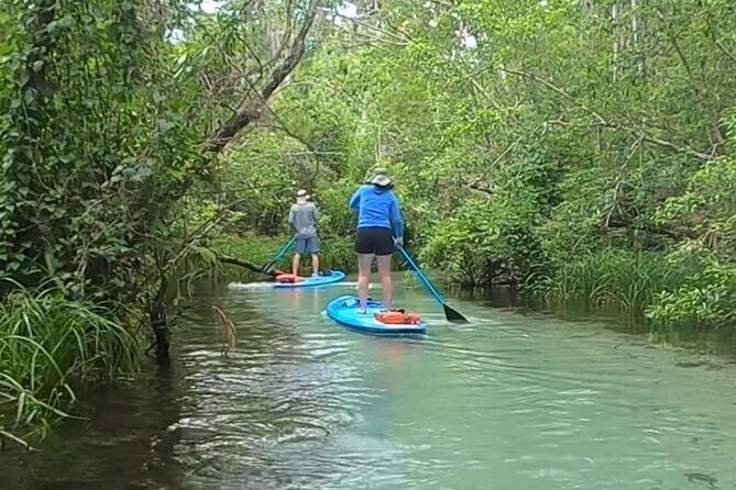 Paddleboard Rental  Three Sisters Springs & Manatee Refuge - FAQs