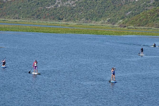 Paddleboard (SUP) Tour on Crnojevic River to Skadar Lake - Who Should Consider This Tour?