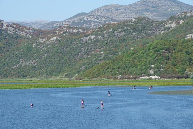 Paddleboard (SUP) Tour on Crnojevic River to Skadar Lake - The Sum Up