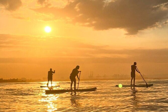Paddleboard Tour - Key Points
