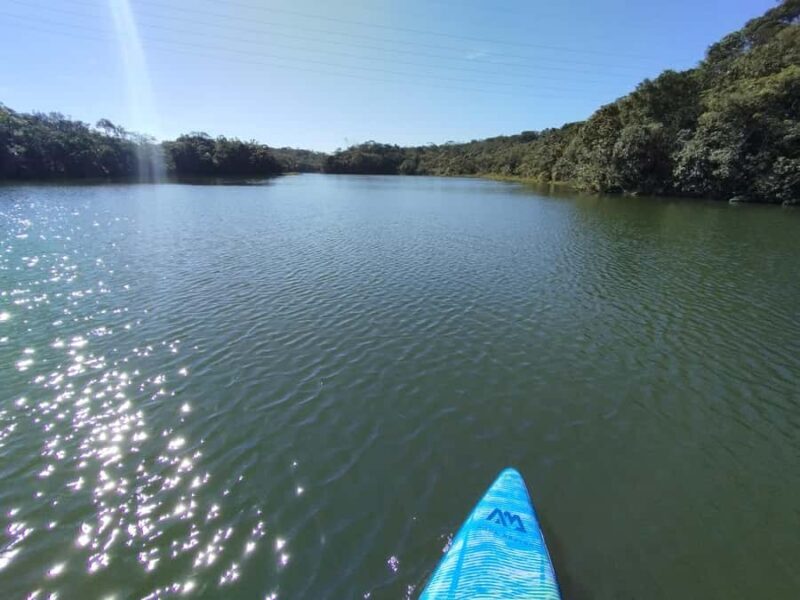 Paddleboarding and BBQ Experience at Billings Reservoir - Summary