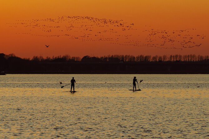 Paddleboarding in Dublin - Paddleboarding in Dublin: An Adventure in Malahide Estuary