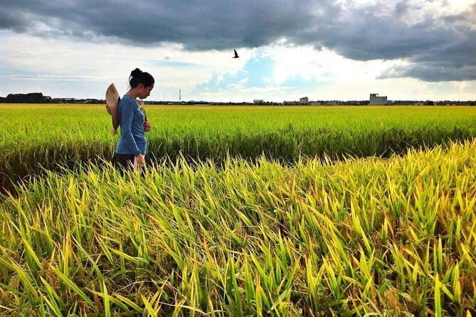 Paddy Field, Fishing And Fireflies Tour - A Detailed Look at the Paddy Field, Fishing, and Fireflies Tour