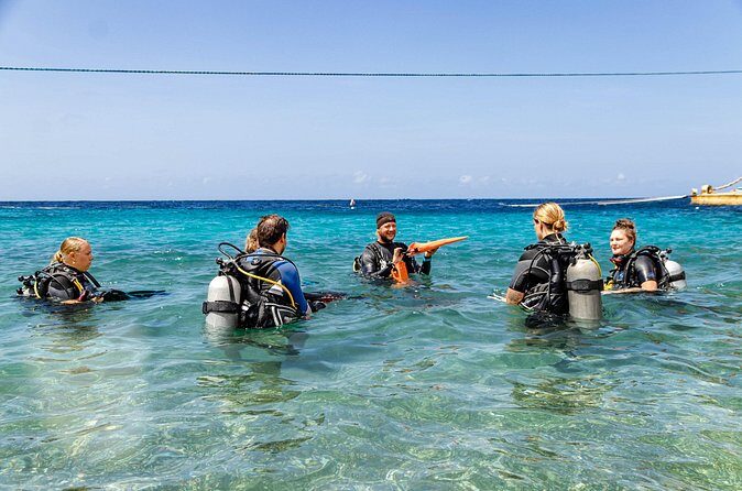 PADI Advanced Open Water Course in 2 days Including Night Dive - Who Would Love This Tour?