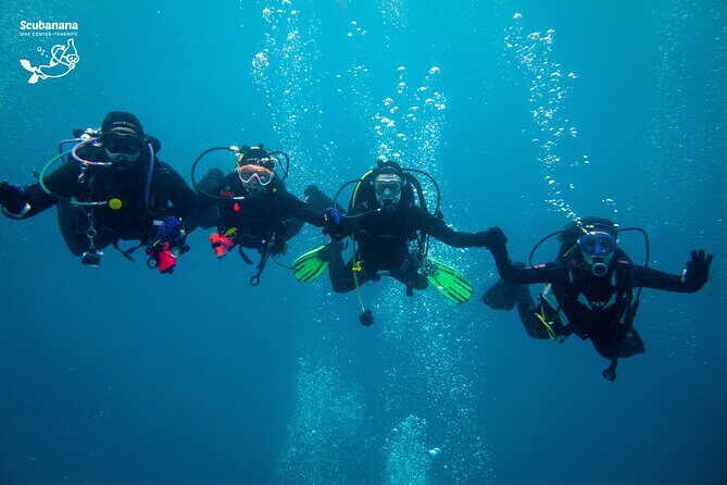 PADI Advanced Open Water Diver Course (AOWD) - 2 days - The Location: Radazul and Tenerife’s Underwater Charm