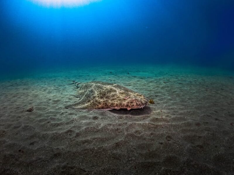 PADI ADVANCED OPEN WATER DIVER - A Closer Look at the Itinerary