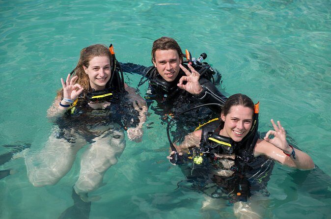 PADI Discover Scuba Dive at 5 Star Dive Center Blue Bay Dive, Curacao - Final Thoughts: Why You’ll Love This Tour