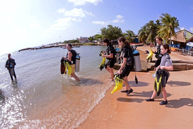 PADI Discover Scuba Dive - Who Should Consider This Tour?