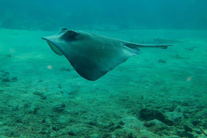 PADI Discover Scuba Diving - Frequently Asked Questions