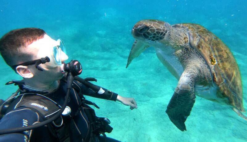 PADI Discover Scuba Diving Course in Tenerife - Introduction: What to Expect from the PADI Discover Scuba Diving Course in Tenerife