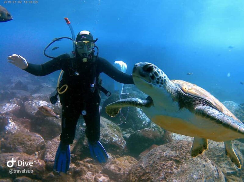 PADI Discover Scuba Diving Course in Tenerife - Practical Details and Logistics