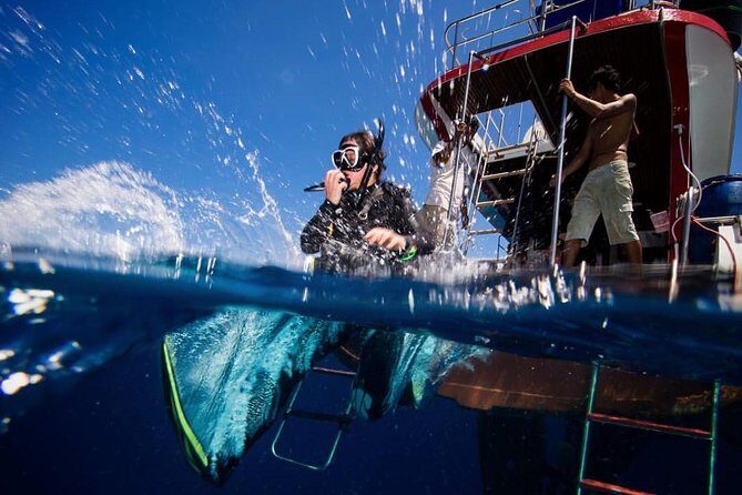 PADI Discover Scuba Diving Experience Full Day Trip - The Experience in Detail