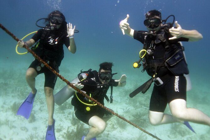 PADI Discover Scuba Diving for divers without certification - Why This Tour Offers Great Value