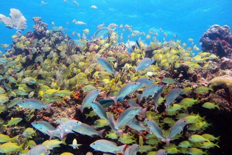 PADI Discover Scuba Diving for divers without certification - Key Points