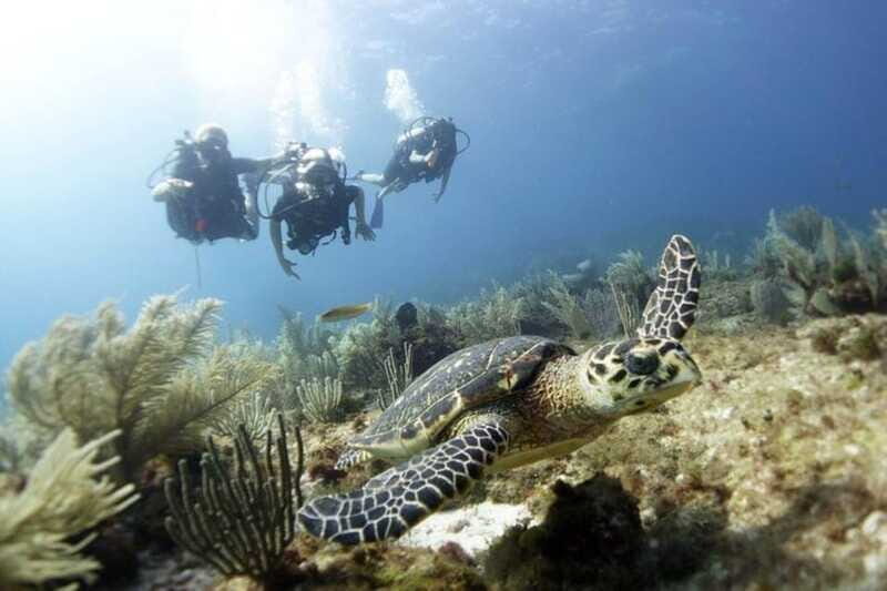 PADI Discover Scuba Diving for divers without certification - FAQ