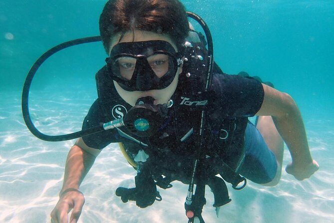 PADI Discover Scuba Diving in Koh Tao - half day and two dives - Why This Tour Stands Out