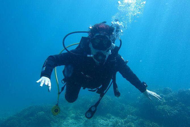 PADI Discover Scuba Diving - introduction program for beginners - Authentic Marine Encounters