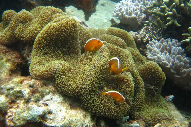 PADI Discover Scuba Diving - introduction program for beginners - The Practical Side: Booking, Cost, and Safety