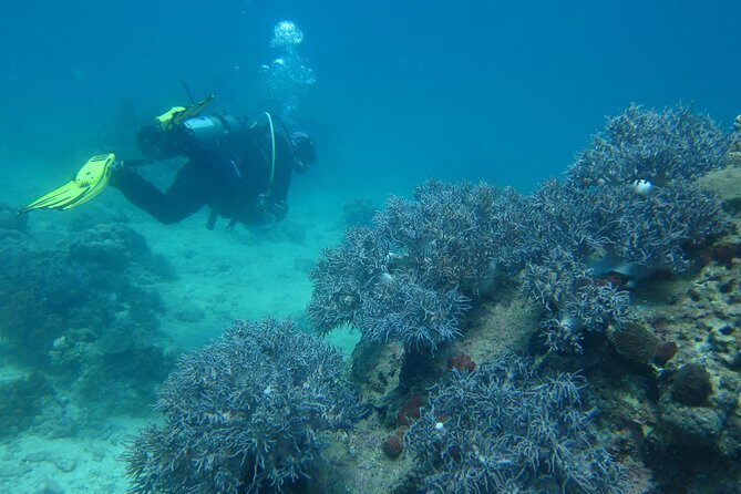 PADI Discover Scuba Diving - introduction program for beginners - In The Sum Up