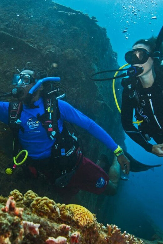 PADI Discover Scuba Diving Los Cancajos La Palma - Exploring La Palma’s Underwater World: The PADI Discover Scuba Experience