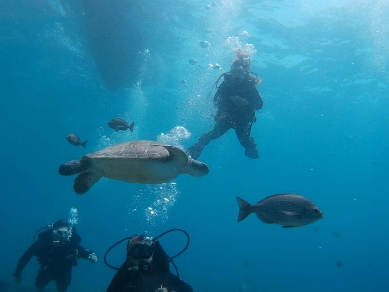 PADI Open Water Course in 3 Days - A Closer Look at the PADI Open Water Course in Tenerife