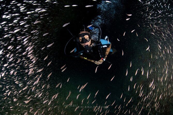 PADI Open Water Course in Cabo San Lucas - Exploring the PADI Open Water Course in Cabo San Lucas