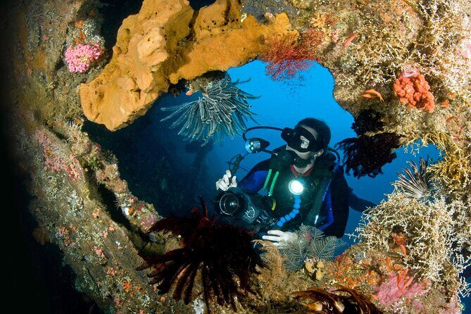 PADI Open water Course in Tulamben - Get certified & dive anywhere in the world - Who Should Consider This Course?