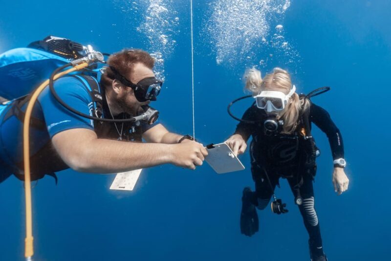 PADI Open Water Diving Course Tenerife - An Overview of the Experience