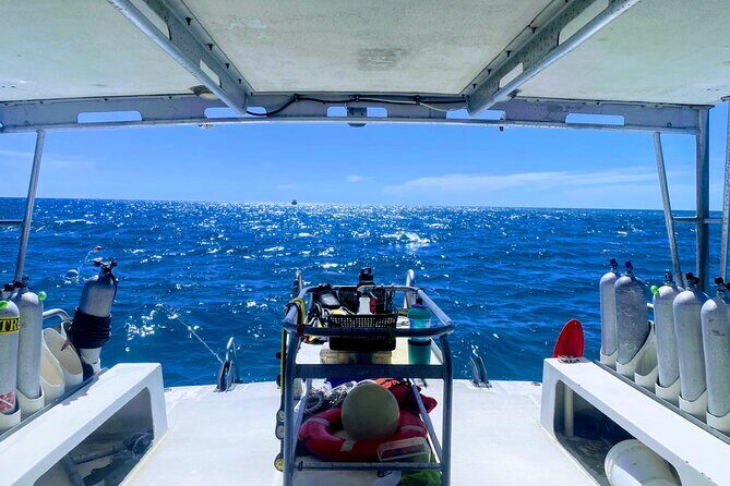 PADI Refresher Course - Final Thoughts: Who’s It For?