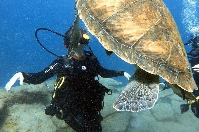 PADI Scuba Dive Course in Costa Adeje - Key Points