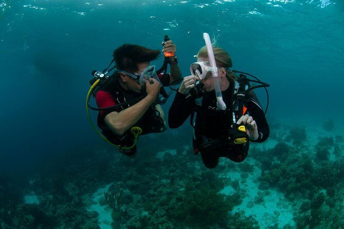 PADI Scuba Diver Course - Exploring the PADI Scuba Diver Course in Negombo