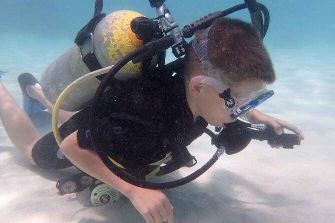 PADI Scuba Diver course for beginners Two days one night accommodation included - What Makes This Tour Stand Out?