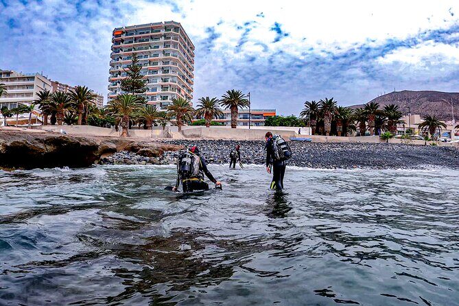 PADI Scuba Diving Courses in Tenerife: All Specialities Until Divemaster - Marine Life and Underwater Scenery
