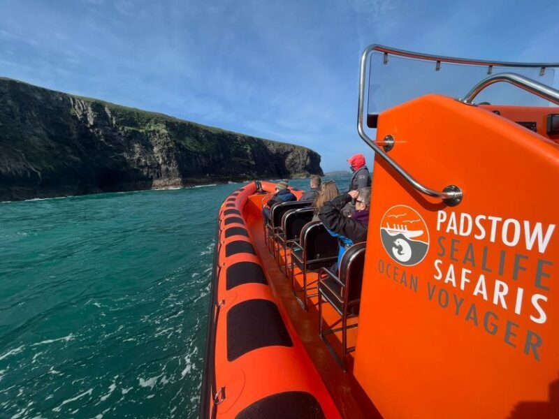 Padstow: Guided RIB Sealife Safari - Practical Tips and Considerations