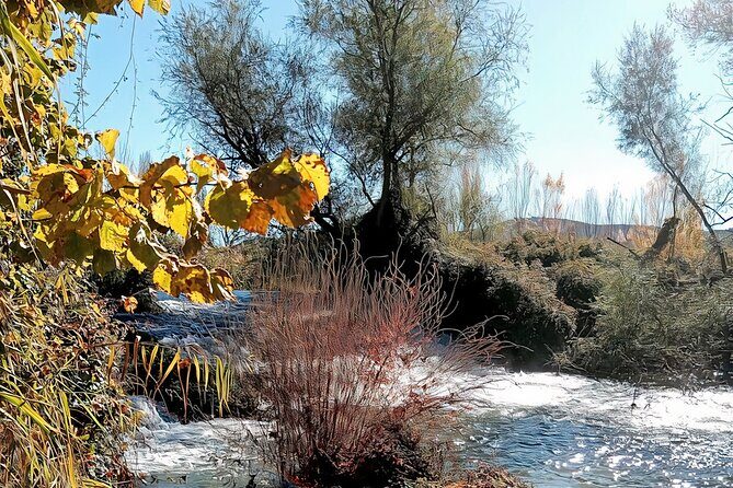 Paella, Olive Oil, Wine & Relax in Rural Estate outside Madrid - Final Thoughts
