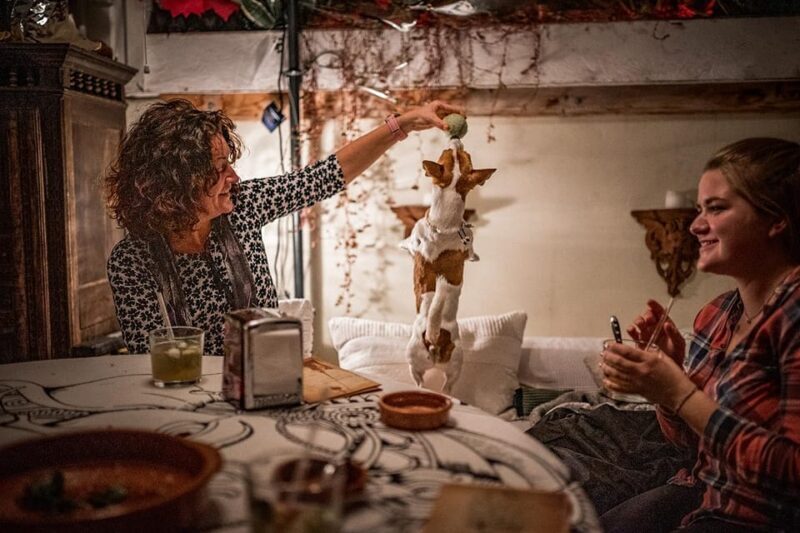 Paella over Palma - FAQ