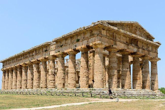 Paestum and Mozzarella Farm experience - An In-Depth Look at the Paestum and Mozzarella Farm Experience